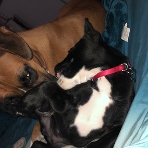 Meet your Posher, Leah